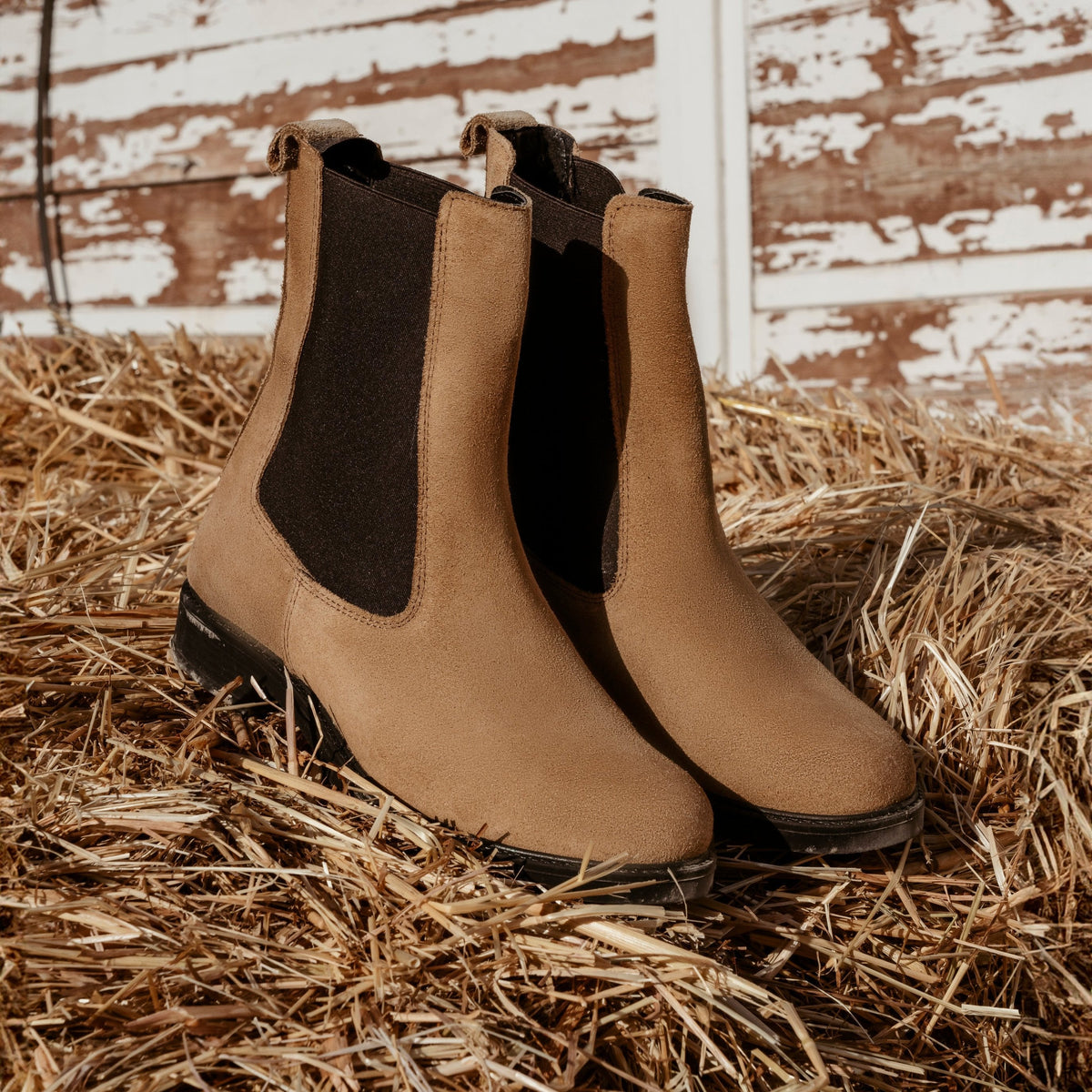 Chelsea boots femme en daim - Taupe
